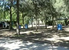 Camping Paloma 