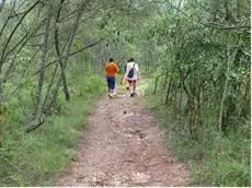 Bosque dos Beija-Flores Pousada e Spa 