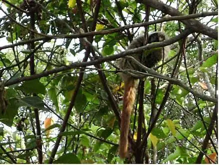 Bosque dos Beija-Flores Pousada e Spa 