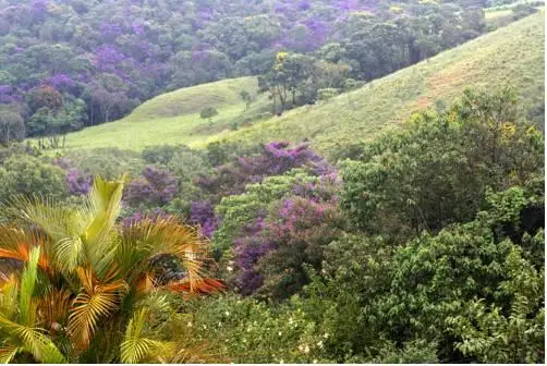 Bosque dos Beija-Flores Pousada e Spa 