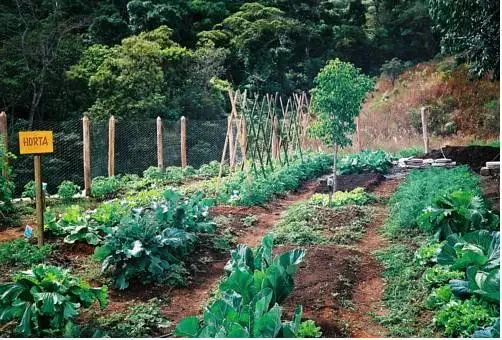 Bosque dos Beija-Flores Pousada e Spa 