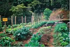 Bosque dos Beija-Flores Pousada e Spa 