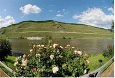 Mosel-Hotel Leyendecker Garni 