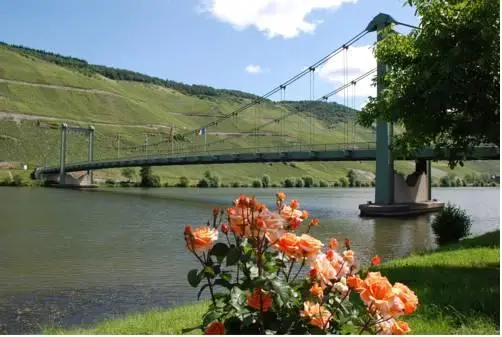 Mosel-Hotel Leyendecker Garni 