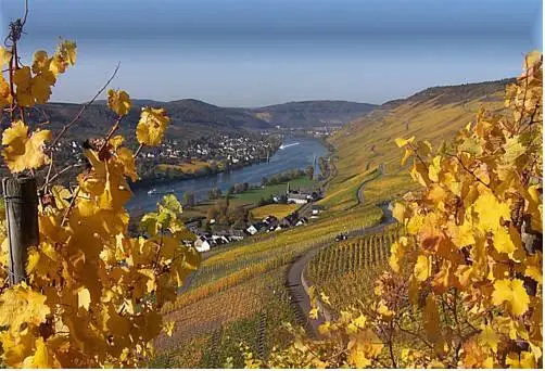 Mosel-Hotel Leyendecker Garni 