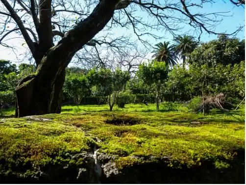 Quinta do Espirito Santo 