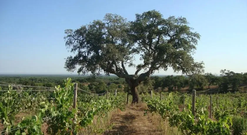 A Serenada Enoturismo 