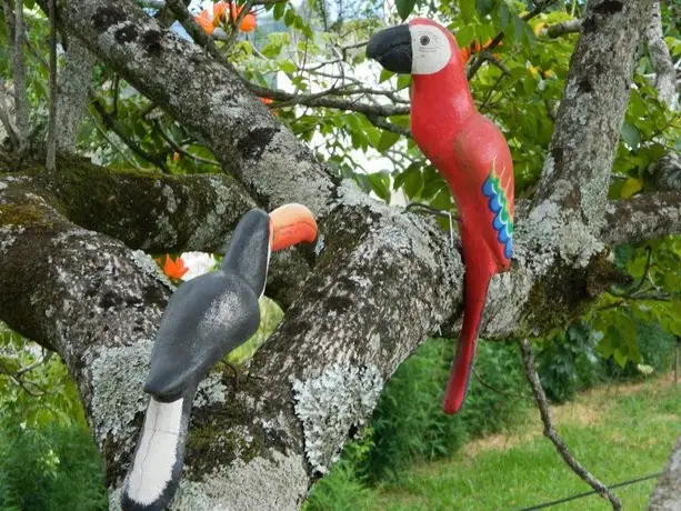 Pousada Aconchego de Minas 