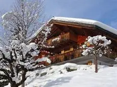 Chalet Alpstein 