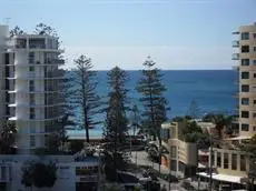 Pandanus Mooloolaba 