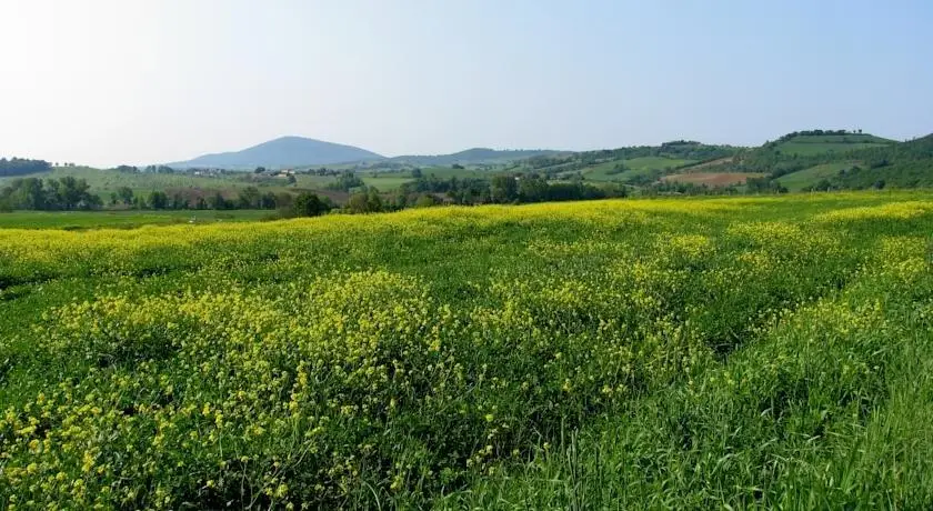 Poggio Della Quercia