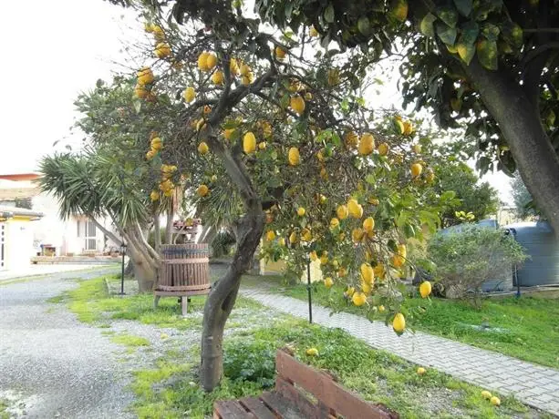 Agriturismo Il Gelsomino Ritrovato 