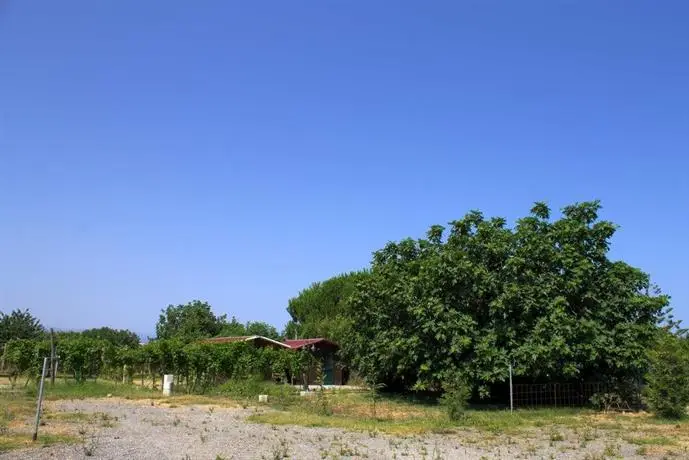 Agriturismo Il Gelsomino Ritrovato 