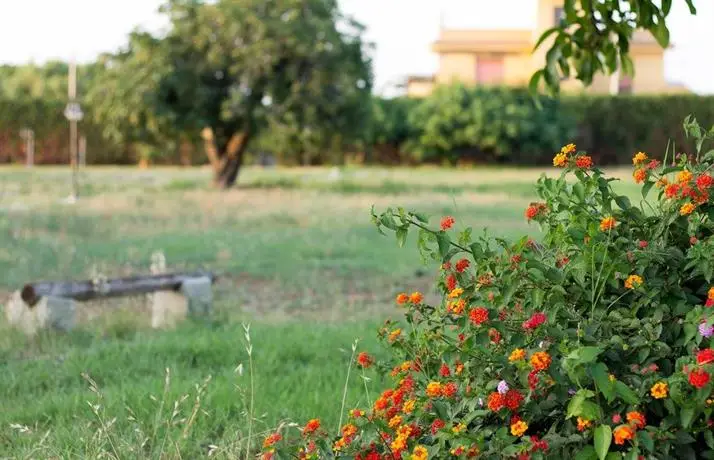 Agriturismo Il Gelsomino Ritrovato 