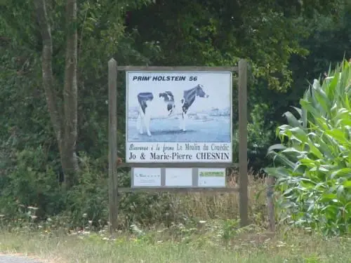 Le Gite du Moulin du Couedic 