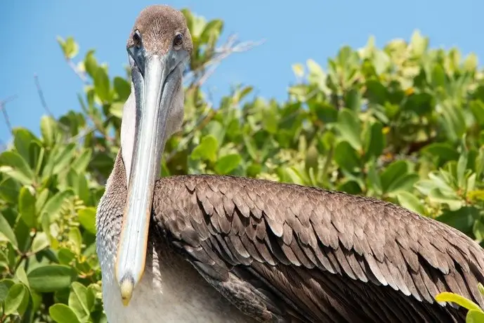 Chez Manany Galapagos Ecolodge 