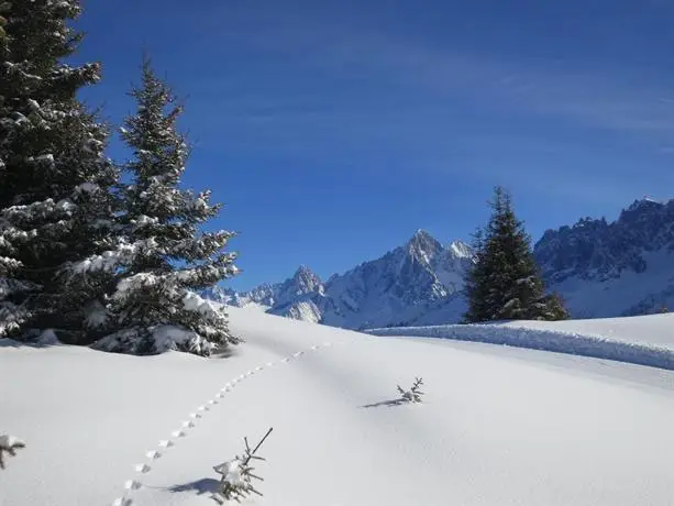 Hotel Le Chamonix 