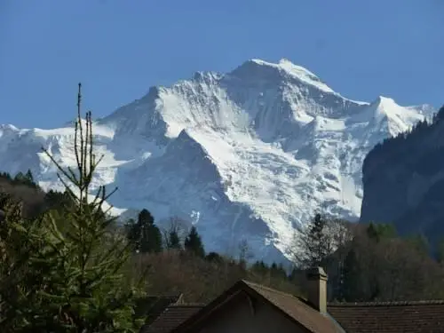 Swiss Alps Apartment Edelweiss