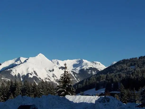 La Boule de Neige 