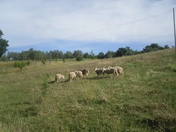 Agriturismo Fattoria Poggio Boalaio