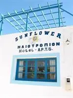 Sunflower studios 