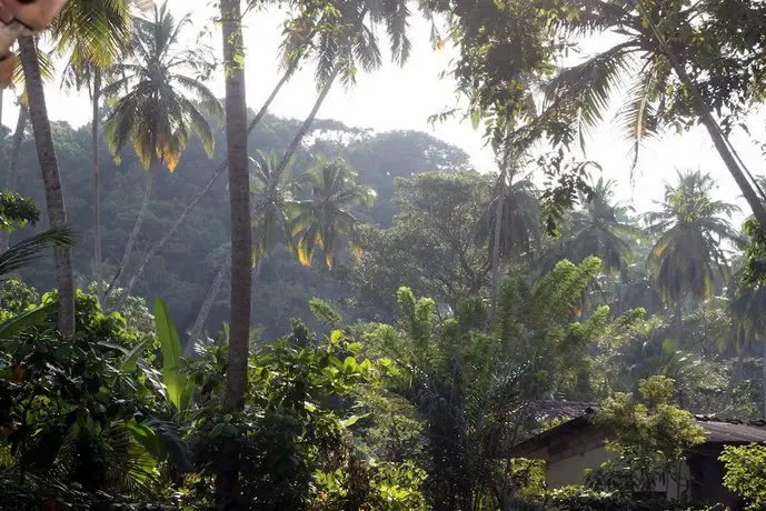 Dunes Unawatuna Hotel 