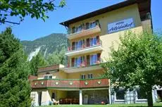 Hotel Alpenhof Bad Hofgastein 