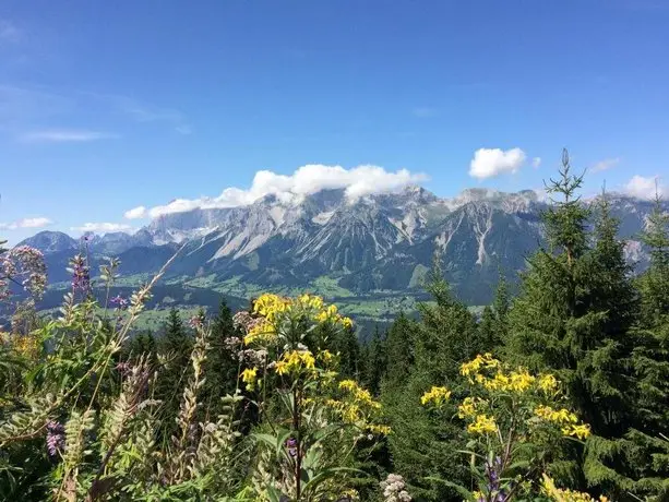 Appartement Alpentaverne 