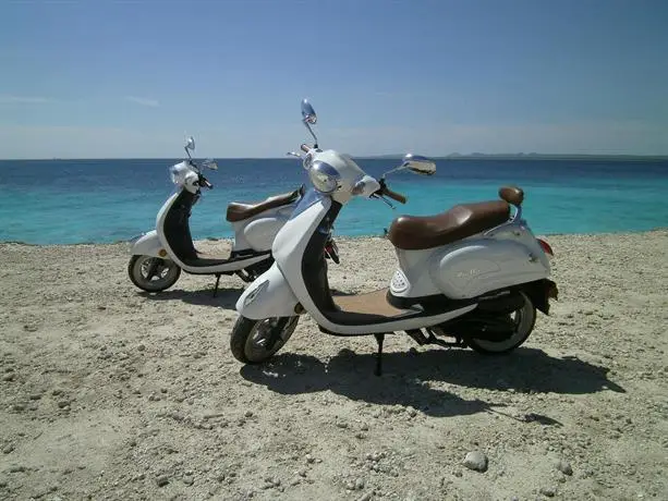 Treasure By The Sea Bonaire 