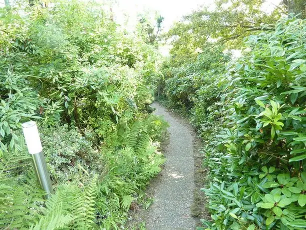 Ferienwohnung am steilen Waldweg 