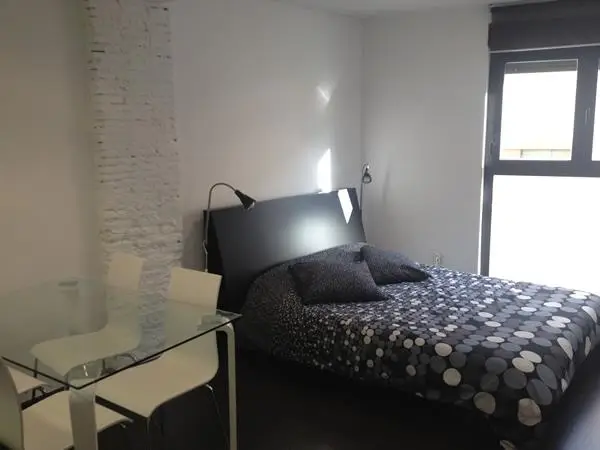 Apartamentos Logrono