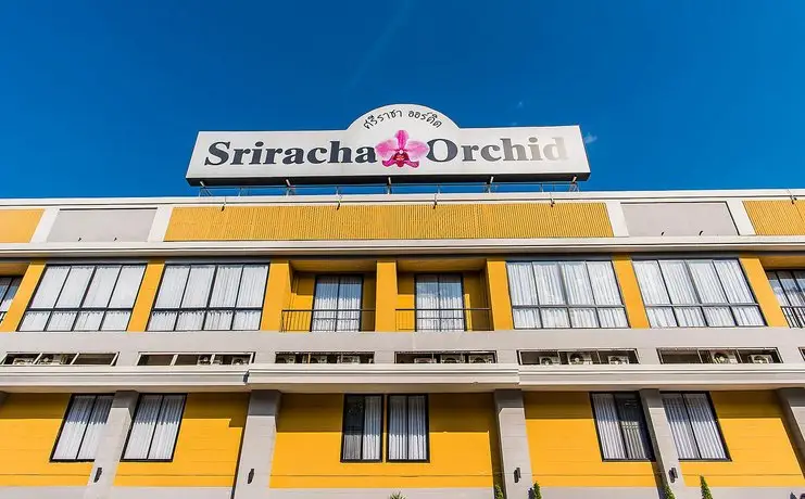 Sriracha Orchid 