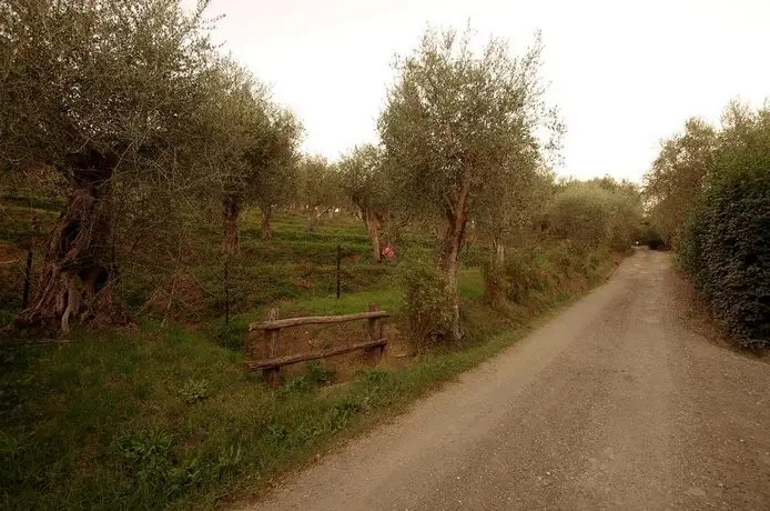 Fattoria di Camporomano