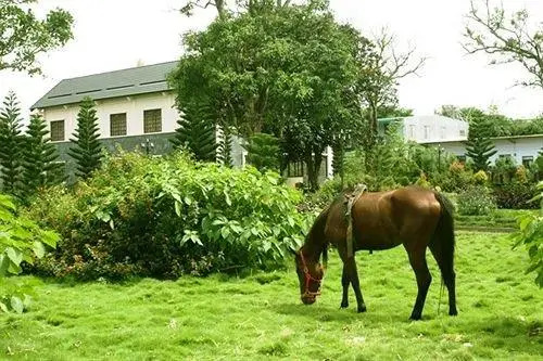 Coffee Tour Resort 