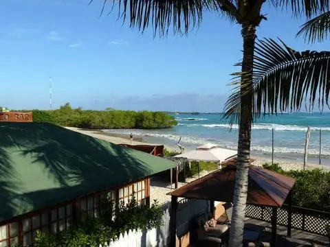 Red Mangrove Isabela Lodge