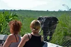 Bed in the Bush - Tingala Lodge 