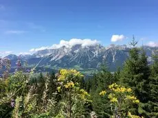 Landhaus Trinker Haus im Ennstal 