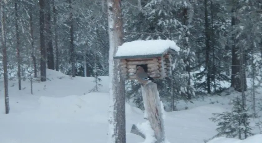 Kutukolo Cottage 