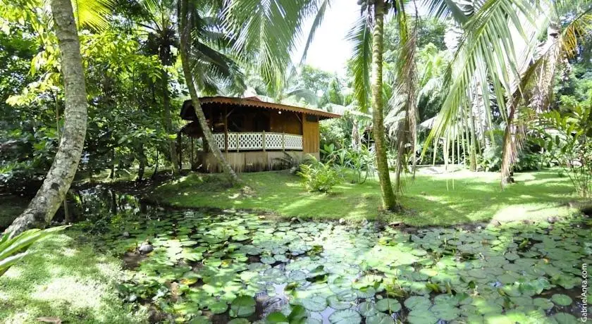 Hotel La Costa de Papito 