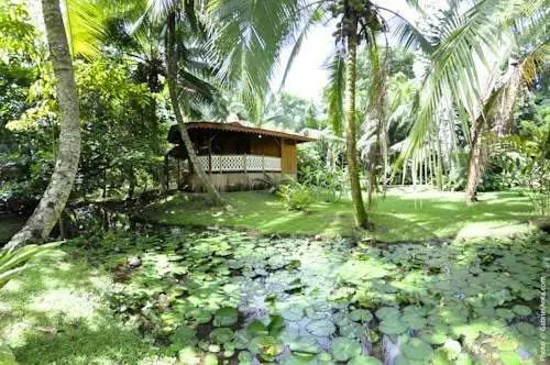 Hotel La Costa de Papito 