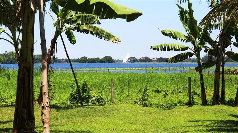 Lake View Cottage 