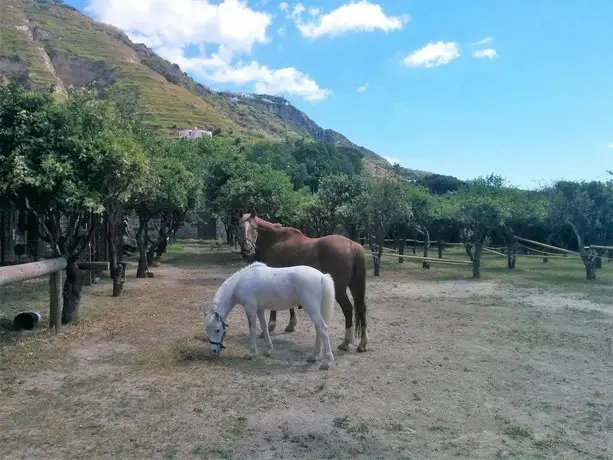 Tenuta Villa Tara 