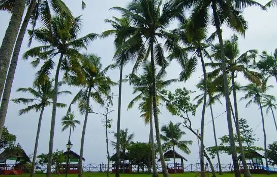 Blooming Bay - Clifftop Beach Resort