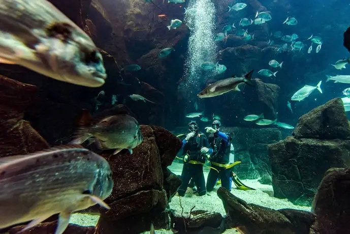 Aqua Natura Madeira 