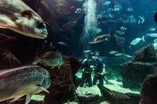 Aqua Natura Madeira 