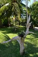 Casa Caracol Bacalar 