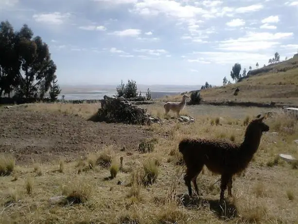 Mirador del Titikaka 