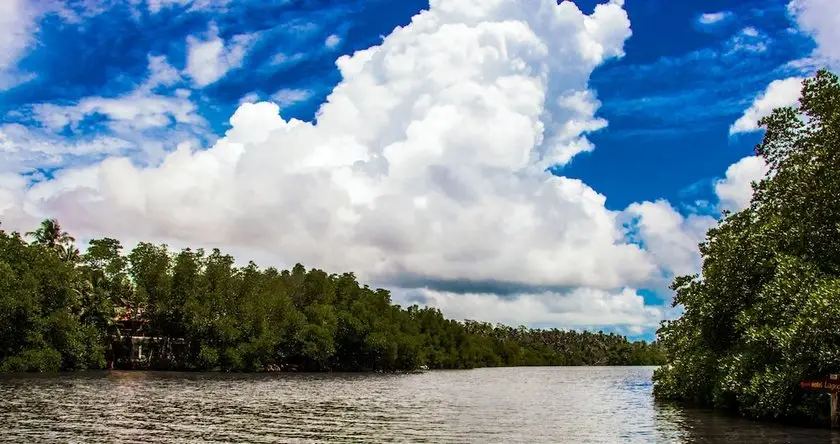 Riverbank Bentota 