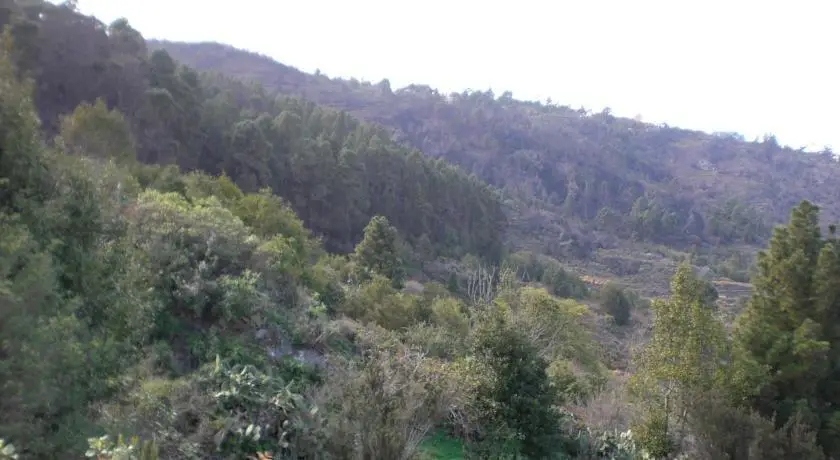 Finca Los Ciruelos 