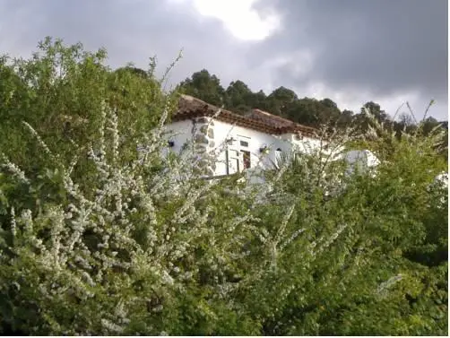 Finca Los Ciruelos 